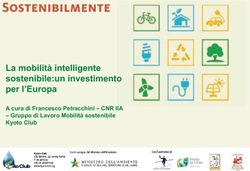La mobilit&agrave; intelligente sostenibile:un investimento per l'Europa - A cura di Francesco Petracchini - CNR IIA - Gruppo di Lavoro Mobilit&agrave; ...