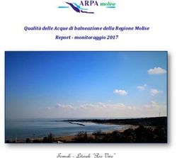 Termoli - Litorale "Rio Vivo" - Qualit&agrave; delle Acque di balneazione della Regione Molise Report - monitoraggio 2017 - portale tematismi arpa molise