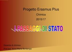 Progetto Erasmus Plus - Chimica 2015/17 - Docente di chimica: Prof.ssa Anna Maria Bontempo - Liceo Lucio Piccolo
