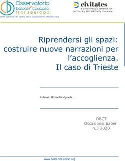 Riprendersi gli spazi: costruire nuove narrazioni per l'accoglienza. Il caso di Trieste - OBCT Occasional paper n.3 2020