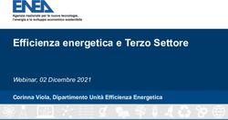 Efficienza energetica e Terzo Settore - Corinna Viola, Dipartimento Unit&agrave; Efficienza Energetica - Attiviamo Energie ...