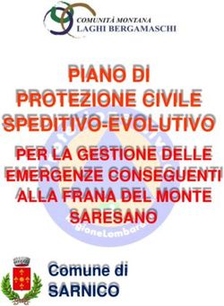 PIANO DI PROTEZIONE CIVILE SPEDITIVO - EVOLUTIVO - PER LA GESTIONE DELLE EMERGENZE CONSEGUENTI ALLA FRANA DEL MONTE SARESANO Comune di SARNICO