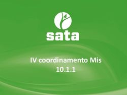 IV coordinamento Mis 10.1.1 - Sata Srl