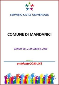 COMUNE DI MANDANICI SERVIZIO CIVILE UNIVERSALE - ambienteCOMUNE