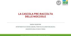 LA CASCOLA PRE-RACCOLTA DELLE NOCCIOLE - NADIA VALENTINI DIPARTIMENTO DI SCIENZE AGRARIE, FORESTALI & ALIMENTARI (DISAFA) - Nocciolare