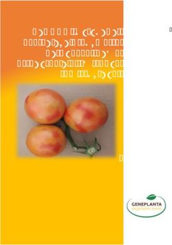 TOBRFV - TOBRFV: UN NUOVO, PERICOLOSO VIRUS DELLE SOLANACEE. COME AFFRONTARLO E LIMITARNE LA DIFFUSIONE - GENEPLANTA