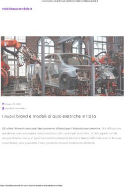 I NUOVI BRAND E MODELLI DI AUTO ELETTRICHE IN ITALIA - LOJACK