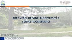 AREE VERDI URBANE: BIODIVERSIT&Aacute; E SERVIZI ECOSISTEMICI - Relatore: Fiorella Coco E-mail