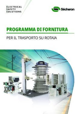 PROGRAMMA DI FORNITURA - PER IL TRASPORTO SU ROTAIA - Secheron