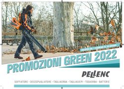 SOFFIATORE DECESPUGLIATORE TAGLIAERBA TAGLIASIEPI TOSAERBA BATTERIE - VALIDIT&Agrave; DAL 1 FEBBRAIO AL 30 GIUGNO