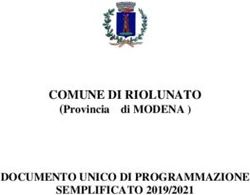 COMUNE DI RIOLUNATO DOCUMENTO UNICO DI PROGRAMMAZIONE SEMPLIFICATO 2019/2021 - (Provincia di MODENA ) - Comune ...
