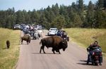 REAL AMERICA 2022 82nd STURGIS RALLY - Altrimenti ...