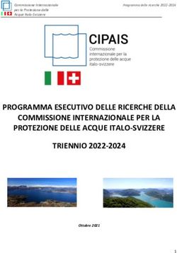PROGRAMMA ESECUTIVO DELLE RICERCHE DELLA COMMISSIONE INTERNAZIONALE PER LA PROTEZIONE DELLE ACQUE ITALO-SVIZZERE TRIENNIO 2022-2024 - Cipais