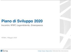 Piano di Sviluppo 2020 - Incontro WWF, Legambiente, Greenpeace ROMA, 5 Maggio 2020