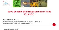 Nuovi genotipi dell'influenza suina in Italia 2013-2017 - MARIA SERENA BEATO LABORATORIO DI SIEROLOGIA E MALATTIE PIANIFICATE -SCT3 LABORATORIO DI ...