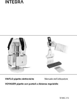 VIAFLO pipette elettroniche Manuale dell'utilizzatore VOYAGER pipette con puntali a distanza regolabile - 161950_V13