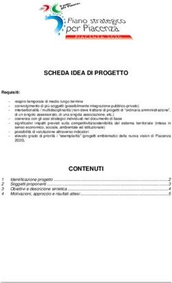 SCHEDA IDEA DI PROGETTO - Piano Strategico per ...