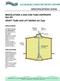 MISCELATORE A GAS CON TUBO ASPIRANTE - tipo AG DRAFT TUBE GAS LIFT MIXING AG Type