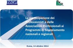 La partecipazione dei Professionisti e delle Associazioni Professionali ai Programmi di finanziamento nazionali e regionali - Roma, 14 ottobre ...