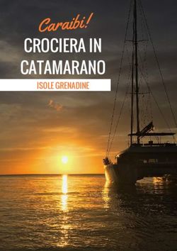 CROCIERA IN CATAMARANO - Caraibi! ISOLE GRENADINE - Traveltik