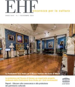EHFsicurezza per la cultura