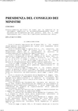 PRESIDENZA DEL CONSIGLIO DEI MINISTRI - Incentivi Sicilia