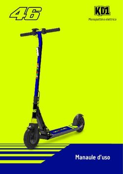 Manaule d'uso - Monopattino elettrico - MT Distribution