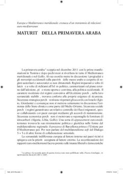 Maturità della primavera araba - Europa e Mediterraneo meridionale: cronaca d'un trentennio di relazioni euro-mediterranee