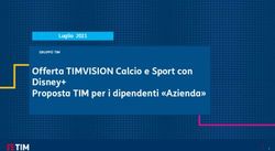 Offerta TIMVISION Calcio e Sport con Disney+ Proposta TIM per i dipendenti "Azienda" - TIMe to deliver - Ente Assistenza