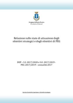 Relazione sullo stato di attuazione degli obiettivi strategici e degli obiettivi di PEG - Comune di Porto ...
