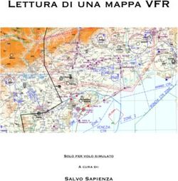 Lettura di una mappa VFR - Salvo Sapienza Solo per volo simulato A cura di