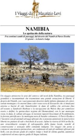 NAMIBIA Lo spettacolo della natura - I Viaggi di Maurizio Levi