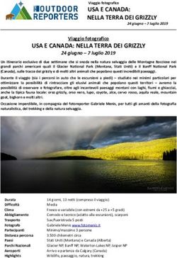 USA E CANADA: NELLA TERRA DEI GRIZZLY - Gabriele Menis