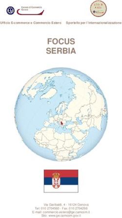 FOCUS SERBIA - CamCom.gov
