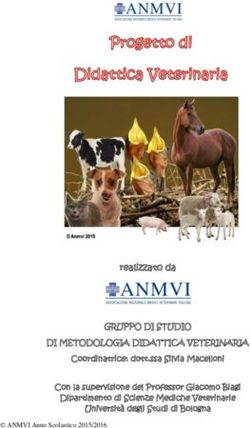 Realizzato da GRUPPO DI STUDIO DI METODOLOGIA DIDATTICA VETERINARIA - Anmvi