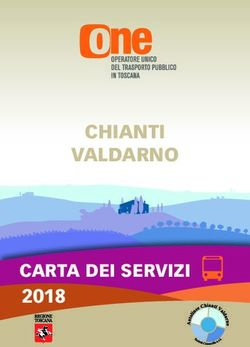 CHIANTI VALDARNO CARTA DEI SERVIZI 2018 - Autolinee Chianti Valdarno