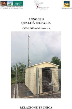 RELAZIONE TECNICA - QUALIT&Agrave; DELL'ARIA ANNO 2019 - Arpav