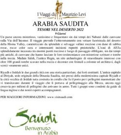 ARABIA SAUDITA - I Viaggi di Maurizio Levi