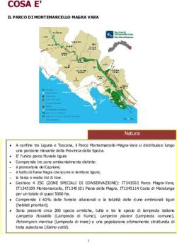 COSA E' - AMEGLIA Informa