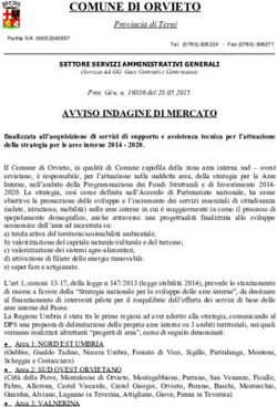 COMUNE DI ORVIETO Provincia di Terni - AWN