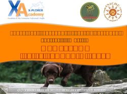 GROSSETO Superficie e Macerie - 10-11 FEBBRAIO 2018