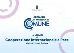 Cooperazione internazionale e Pace - Le attivit&agrave; della Citt&agrave; di Torino - Citt&agrave; di Torino