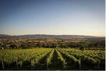 Cucinare ed esplorare l'Umbria (G 006 UMB) - Corso di cucina in Agriturismo, ricerca del tartufo e degustazione di vini