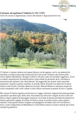 Cucinare ed esplorare l'Umbria (G 006 UMB) - Corso di cucina in Agriturismo, ricerca del tartufo e degustazione di vini