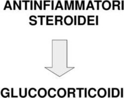 ANTINFIAMMATORI STEROIDEI GLUCOCORTICOIDI - Unife