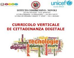 CURRICOLO VERTICALE DI CITTADINANZA DIGITALE - ISTITUTO COMPRENSIVO - NOVOLI