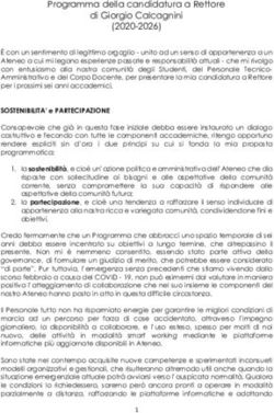 Programma della candidatura a Rettore di Giorgio Calcagnini (2020-2026)