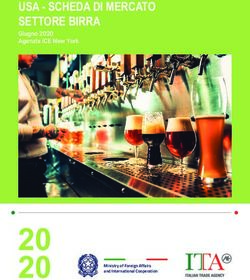 20 USA - SCHEDA DI MERCATO SETTORE BIRRA Giugno 2020 Agenzia ICE New York - Consolato ...