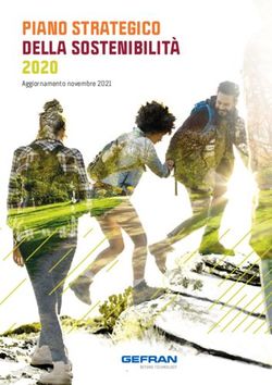 PIANO STRATEGICO DELLA SOSTENIBILITÀ 2020 - Aggiornamento novembre 2021 - Gefran