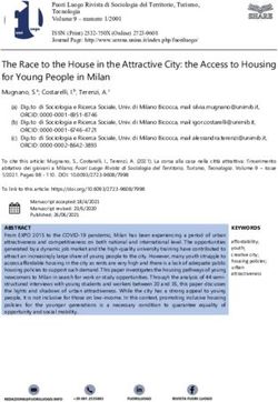 The Race to the House in the Attractive City: the Access to Housing for Young People in Milan - Senza nome